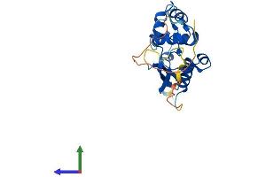 AlphaFold protein structure predicition of Mouse Recombinant Mgmt Protein, UniprotID P26187 (MGMT Protein (AA 1-211) (His tag))