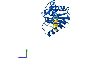 AlphaFold protein structure predicition of Mouse Recombinant Ap1s2 Protein, UniprotID Q9DB50 (AP1S2 Protein (AA 1-160) (His tag))