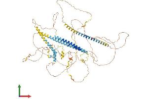AlphaFold protein structure predicition of Human Recombinant PNISR Protein, UniprotID Q8TF01 (SFRS18 Protein (AA 1-805) (His tag))