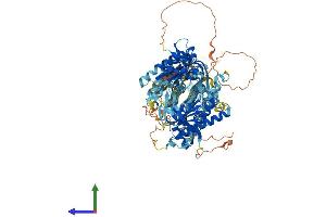 Protein Structure (PS) image for Adenylate Cyclase 3 (ADCY3) (AA 1-1145) protein (His tag) (ABIN7564761)