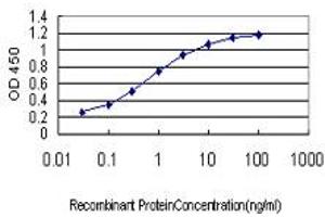 Detection limit for recombinant GST tagged FLT4 is approximately 0. (FLT4 antibody  (AA 34-133))