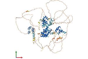 AlphaFold protein structure predicition of Human Recombinant ZHX1 Protein, UniprotID Q9UKY1