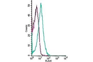 Cell surface detection of FLRT3 by indirect flow cytometry in live intact human Jurkat T-cell leukemia cell line: + goat-anti-rabbit-APC.