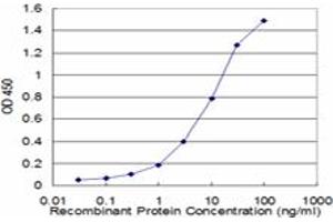 Detection limit for recombinant GST tagged BIN1 is approximately 0. (BIN1 antibody  (AA 355-454))