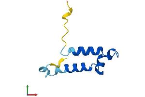 AlphaFold protein structure predicition of Human Recombinant COA5 Protein, UniprotID Q86WW8 (COA5 Protein (AA 1-74) (Fc Tag))