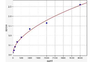 IL2 Receptor beta ELISA Kit