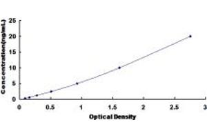 Typical standard curve (TAP1 ELISA Kit)