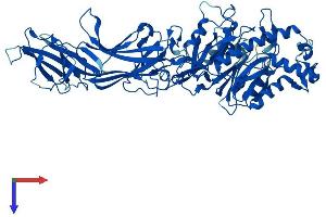 PADI2 Protein (AA 1-665) (His tag)