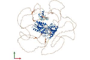 AlphaFold protein structure predicition of Mouse Recombinant Dclre1a Protein, UniprotID Q9JIC3 (SNM1 Protein (AA 1-1026) (His tag))