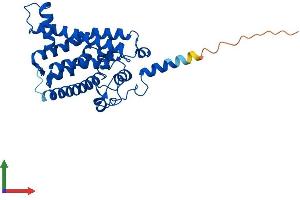 AlphaFold protein structure predicition of Human Recombinant SC5D Protein, UniprotID O75845 (SC5DL Protein (AA 1-299) (His tag))
