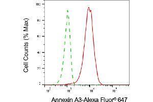 Flow cytometric analysis of Annexin A3 expression in HepG2 cells using Annexin A3 antibody (ABIN7797618), 1:2,000). (Annexin A3 antibody)