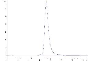 The purity of Human LILRB3 is greater than 95 % as determined by SEC-HPLC. (LILRB3 Protein (AA 24-443) (His-Avi Tag))