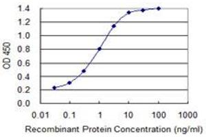 Detection limit for recombinant GST tagged DPYSL2 is 0. (DPYSL2 antibody  (AA 470-571))