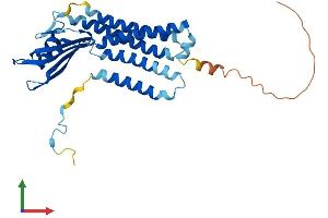 AlphaFold protein structure predicition of Mouse Recombinant Duoxa2 Protein, UniprotID Q9D311