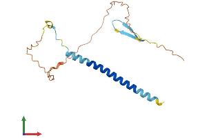 AlphaFold protein structure predicition of Human Recombinant C5orf47 Protein, UniprotID Q569G3 (C5ORF47 Protein (AA 1-176) (His tag))