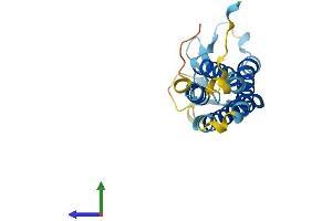 AlphaFold protein structure predicition of Mouse Recombinant Perp Protein, UniprotID Q9JK95 (PERP Protein (AA 1-193) (His tag))