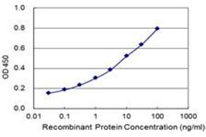 Detection limit for recombinant GST tagged SHCBP1 is 0. (SHCBP1 antibody  (AA 1-672))