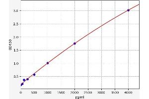 PTGER2 ELISA Kit