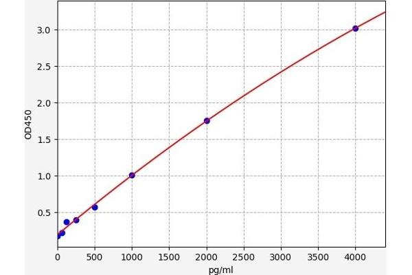 PTGER2 ELISA Kit