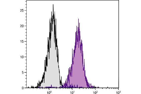 H2-D1 antibody  (PE)