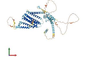 AlphaFold protein structure predicition of Human Recombinant AMFR Protein, UniprotID Q9UKV5