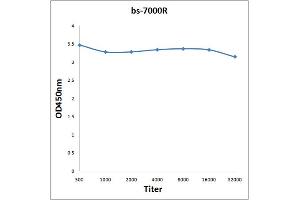 Antigen: 0. (CTNND1 antibody  (AA 651-750))