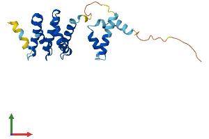 Protein Structure (PS) image for Stromal Antigen 3-Like 1 (STAG3L1) (AA 1-205) protein (His tag) (ABIN7544032)