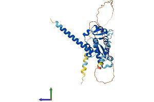 AlphaFold protein structure predicition of Human Recombinant MAGEB17 Protein, UniprotID A8MXT2 (MAGEB17 Protein (AA 1-336) (His tag))