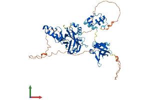 Protein Structure (PS) image for Transcription Factor CP2 (TFCP2) (AA 1-502) protein (His tag) (ABIN7561427)