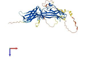 AlphaFold protein structure predicition of Mouse Recombinant Arrdc4 Protein, UniprotID A0A0B4J1F4 (ARRDC4 Protein (AA 1-415) (His tag))