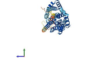 AlphaFold protein structure predicition of Human Recombinant SLC10A2 Protein, UniprotID Q12908 (SLC10A2 Protein (AA 1-348) (His tag))