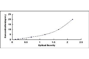 Typical standard curve (COL3 ELISA Kit)