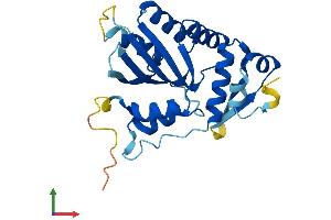 AlphaFold protein structure predicition of Human Recombinant APOBEC1 Protein, UniprotID P41238 (APOBEC1 Protein (AA 1-236) (His tag))
