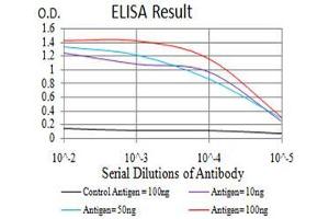 Fig. (RAB1B antibody  (AA 60-201))