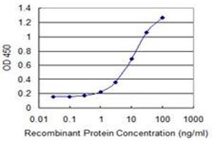 Detection limit for recombinant GST tagged CDX1 is 0. (CDX1 antibody  (AA 126-215))