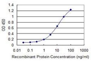 Detection limit for recombinant GST tagged MSL2 is 0. (MSL2 antibody  (AA 478-575))