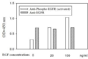A431 cells were stimulated by different concentrations of EGF for 20 min at 37 °C (EGFR ELISA Kit)