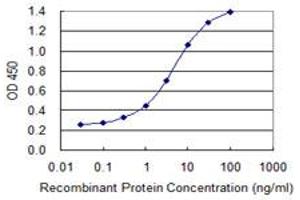 Detection limit for recombinant GST tagged IL1F8 is 0. (FIL1h antibody  (AA 1-157))