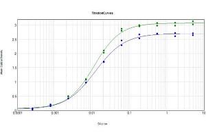ELISA Results of Rabbit Anti-Swine IgG F(ab')2 Antibody tested against purified Swine IgG F(ab')2.