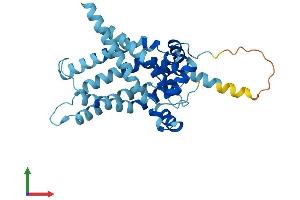 AlphaFold protein structure predicition of Mouse Recombinant Slc25a47 Protein, UniprotID Q6IS41 (SLC25A47 Protein (AA 1-310) (His tag))