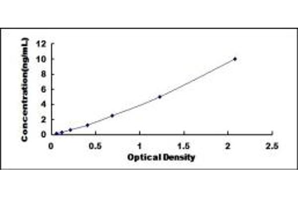 FBLN7 ELISA Kit