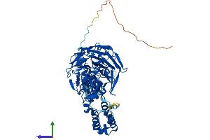 AlphaFold protein structure predicition of Mouse Recombinant Klhl2 Protein, UniprotID Q8JZP3