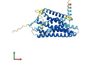 AlphaFold protein structure predicition of Human Recombinant OR6Q1 Protein, UniprotID Q8NGQ2 (OR6Q1 Protein (AA 1-317) (His tag))