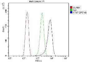 Flow Cytometry analysis of HELA cells using anti-ATG7 antibody (ABIN7603109). (ATG7 antibody  (N-Term))
