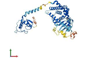 Protein Structure (PS) image for Nuclear Receptor Subfamily 1, Group I, Member 2 (NR1I2) (AA 1-431) protein (His tag) (ABIN7562442)