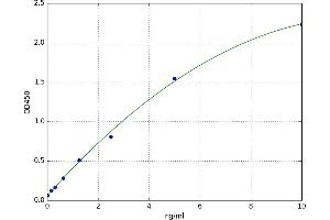 Tight Junction Protein 1 (TJP1) ELISA Kit