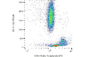 Flow cytometry analysis (surface staining) of human peripheral blood leukocytes with anti-human CD44 (MEM-85) biotin / Streptavidin APC. (CD44 antibody  (Biotin))