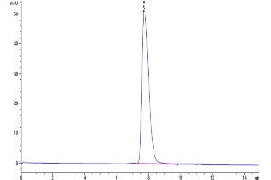 Size-exclusion chromatography-High Pressure Liquid Chromatography (SEC-HPLC) image for Glycoprotein A33 (Transmembrane) (GPA33) (AA 22-235) protein (His-Avi Tag) (ABIN7274766)