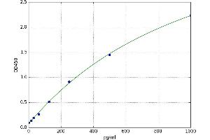 Keratin 13 (KRT13) ELISA Kit
