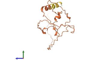 AlphaFold protein structure predicition of Human Recombinant LINC01565 Protein, UniprotID O15544 (C3orf27 Protein (AA 1-149) (His tag))